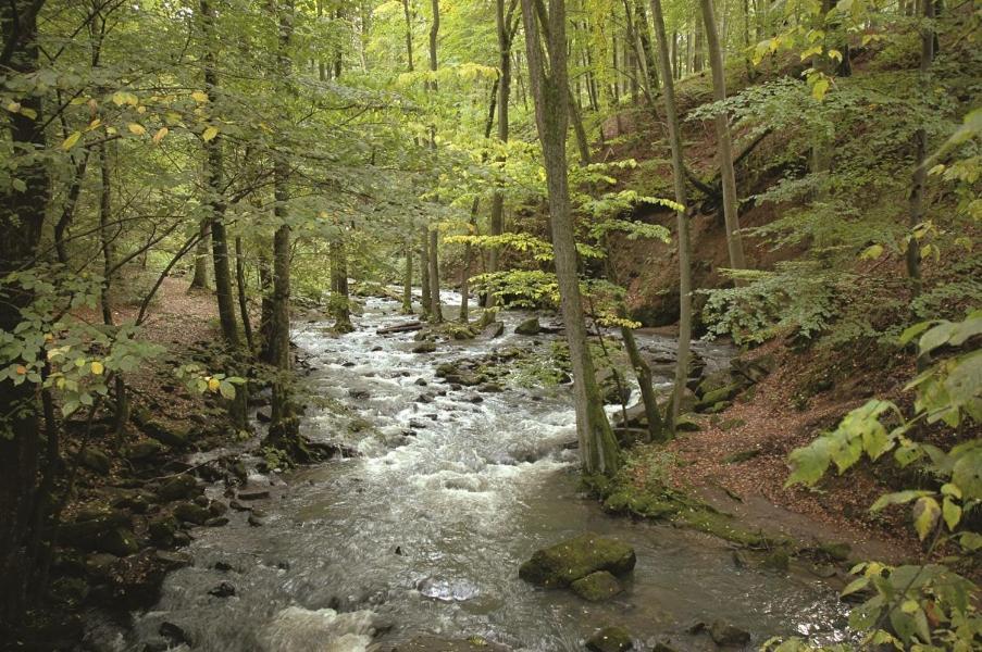 Fewo Hof Elbbachtal 베스테르부르크 외부 사진