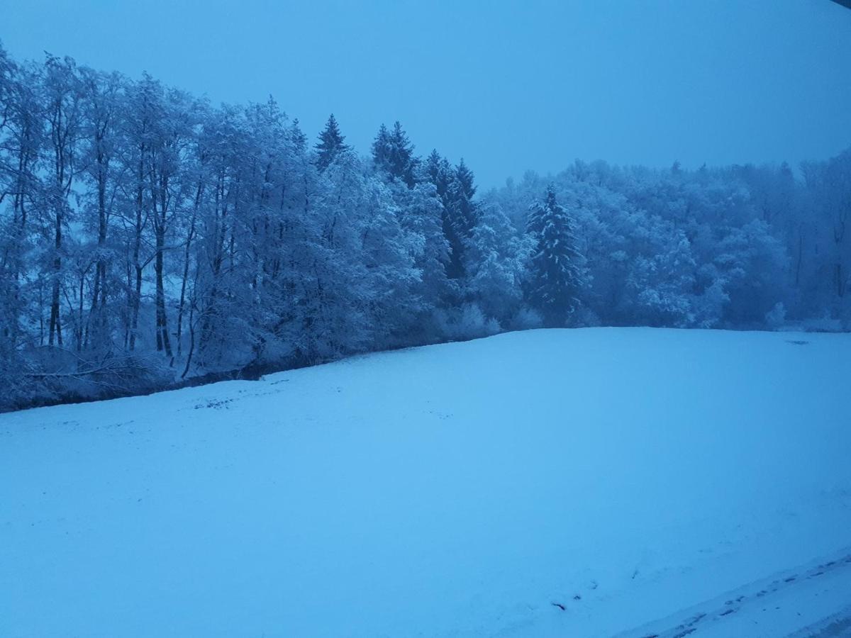 Fewo Hof Elbbachtal 베스테르부르크 외부 사진